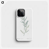 1-43_The-Lilies_phone
