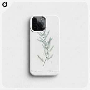 1-43_The-Lilies_phone