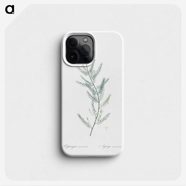1-43_The-Lilies_phone
