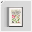 アートポスター-Gesner's Tulip, Ichneumon Fly, Kidney Bean, and Scarlet Runner Bean from Mira Calligraphiae Monumenta
 - 書道のお手本 Poster.