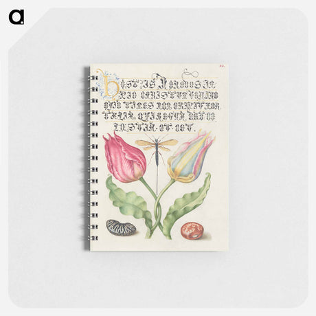 アートメモ帳-Gesner's Tulip, Ichneumon Fly, Kidney Bean, and Scarlet Runner Bean from Mira Calligraphiae Monumenta
 - 書道のお手本 Memo.