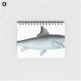 1-43_The-Natural-History-of-British-Fishes_memo