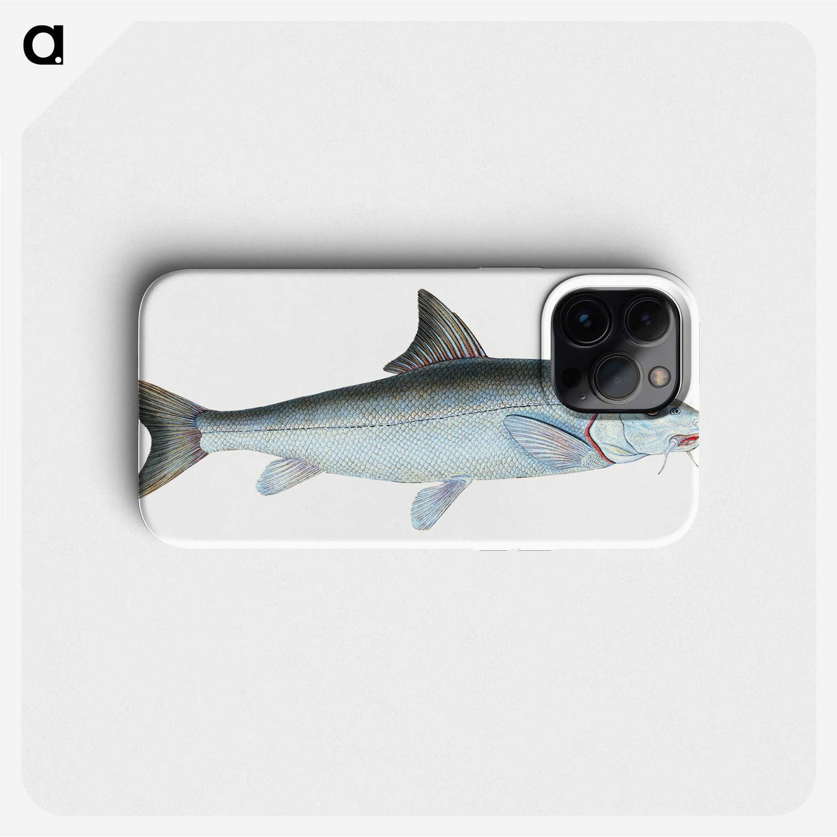 1-43_The-Natural-History-of-British-Fishes_phone