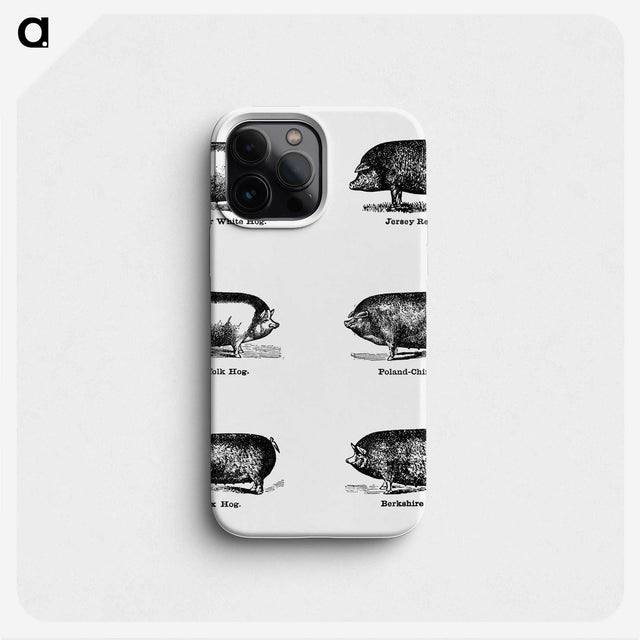 1-43_The-Open-Door-to-Independence_phone