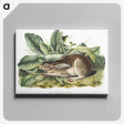 1-43_The-Viviparous-Quadrupeds_canvas