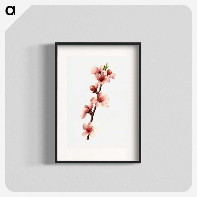 1-43_USDA-Watercolor-Fruit-Painting-Collection_blk