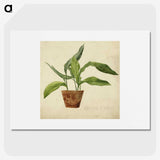 1-43_Wien-Museum_picture