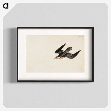 1-43_Wilhelm-von-Wright_blk