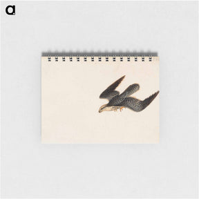 アートメモ帳-Eurasian sparrowhawk flying - ヴィルヘルム フォン ライト Memo.