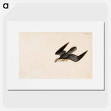 Eurasian sparrowhawk flying - ヴィルヘルム フォン ライト Poster.