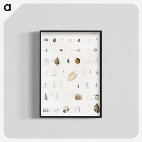 1-43_Zoology-of-New-York_blk-crop