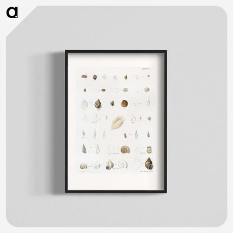 1-43_Zoology-of-New-York_blk