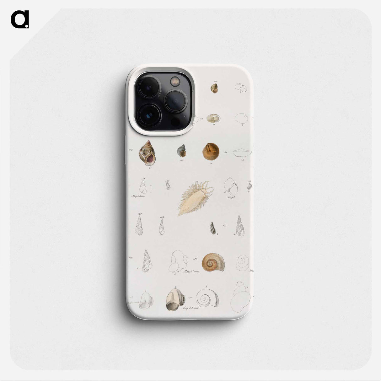 Different types of seashells illustration from Zoology of New York by James Ellsworth De Kay - ニューヨークの動物学 Phone Case.