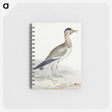 1-44_Aert-Schouman_memo