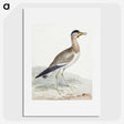 1-44_Aert-Schouman_picture