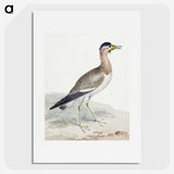 1-44_Aert-Schouman_picture