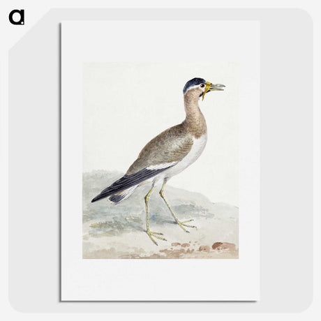 1-44_Aert-Schouman_picture