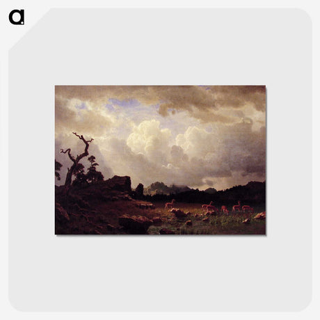 1-44_Albert-Bierstadt_postcard