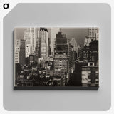 1-44_Alfred-Stieglitz_canvas