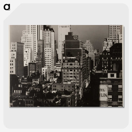 1-44_Alfred-Stieglitz_picture-crop