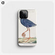 1-44_Anselmus-Boetius-de-Boodt_phone