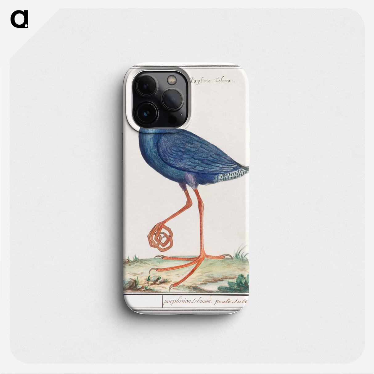 The Western Swamphen - アンセルムス ボエティウス デ ブート Phone Case.
