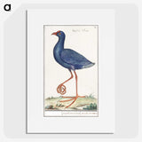 1-44_Anselmus-Boetius-de-Boodt_picture