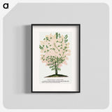1-44_Botanical-Specimen-Plates_blk