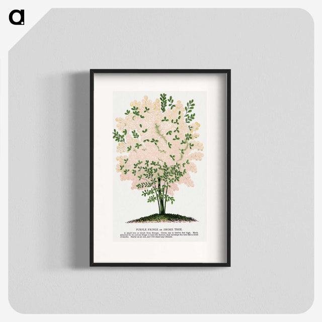 1-44_Botanical-Specimen-Plates_blk