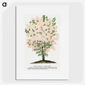 1-44_Botanical-Specimen-Plates_picture