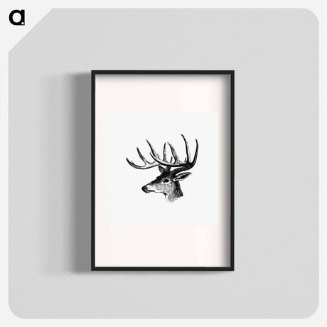 アートポスター-Victorian Deer Engraving
 - 大英図書館 Poster.