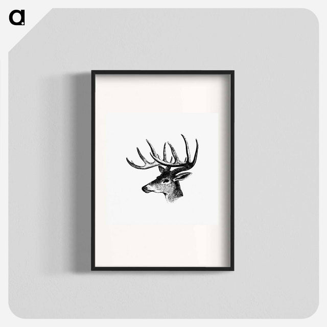 アートポスター-Victorian Deer Engraving
 - 大英図書館 Poster.