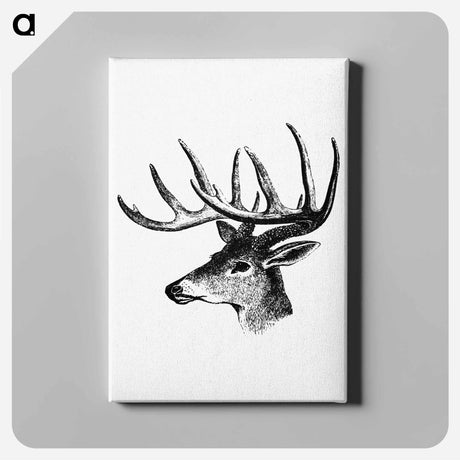 アートパネル-Victorian Deer Engraving
 - 大英図書館 Canvas.