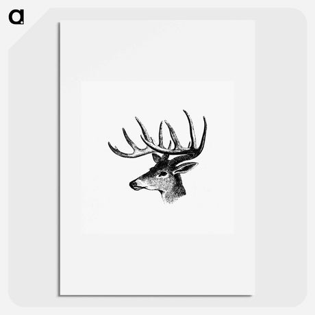 アートポスター-Victorian Deer Engraving
 - 大英図書館 Poster.