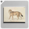 1-44_Charles-Hamilton-Smith_canvas