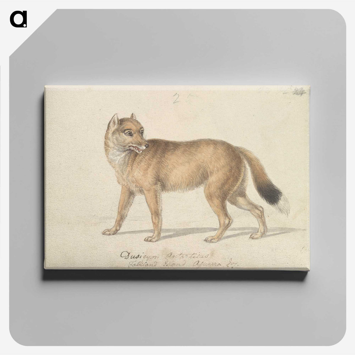 1-44_Charles-Hamilton-Smith_canvas