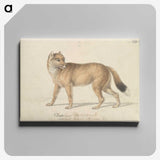 1-44_Charles-Hamilton-Smith_canvas