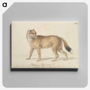 1-44_Charles-Hamilton-Smith_canvas