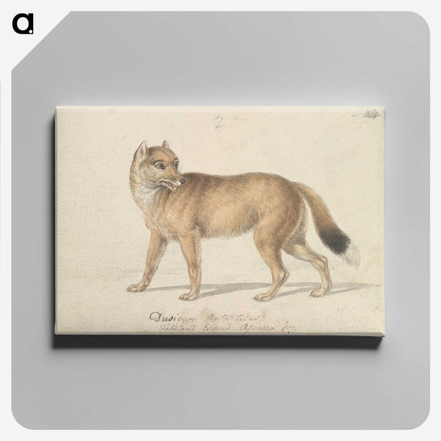 1-44_Charles-Hamilton-Smith_canvas