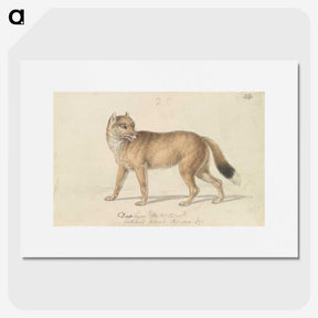 1-44_Charles-Hamilton-Smith_picture