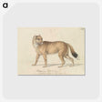 1-44_Charles-Hamilton-Smith_postcard