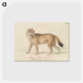 1-44_Charles-Hamilton-Smith_postcard