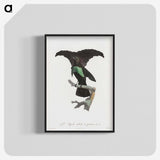 1-44_Des-Oiseaux-de-Paradis_blk-crop