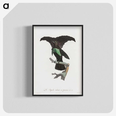 1-44_Des-Oiseaux-de-Paradis_blk-crop