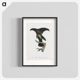 1-44_Des-Oiseaux-de-Paradis_blk