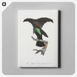 1-44_Des-Oiseaux-de-Paradis_canvas