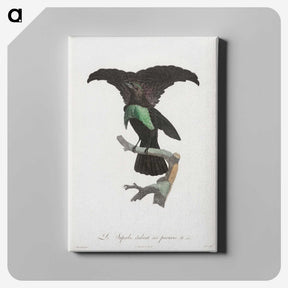 1-44_Des-Oiseaux-de-Paradis_canvas