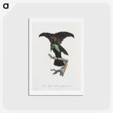 1-44_Des-Oiseaux-de-Paradis_hagaki