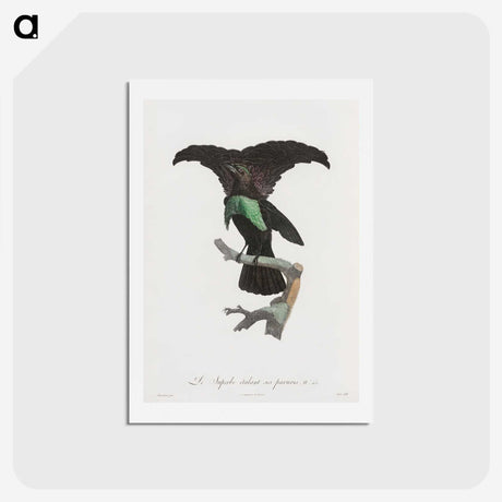 1-44_Des-Oiseaux-de-Paradis_hagaki