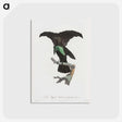 1-44_Des-Oiseaux-de-Paradis_postcard
